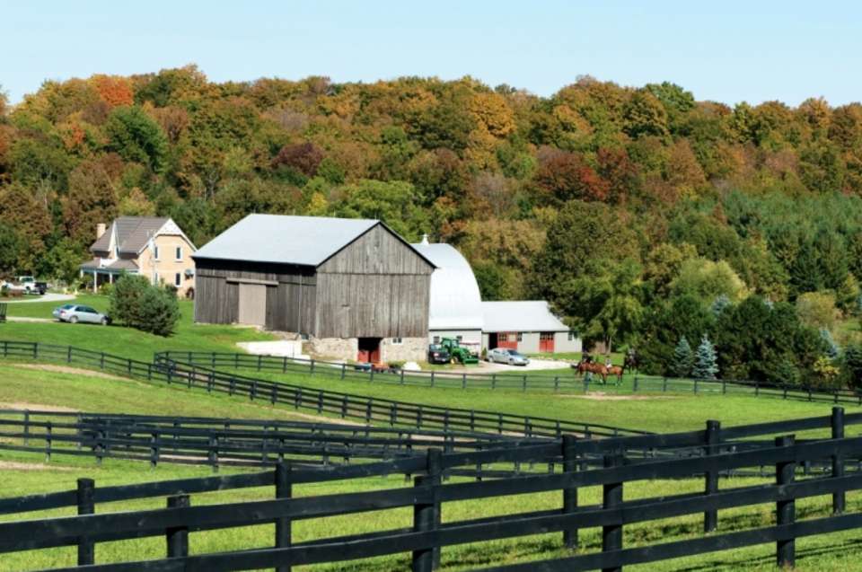 Barn Makeover: Keys to a Successful Renovation