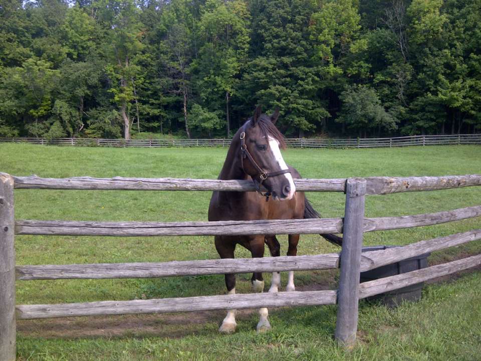 Caring for your Horse and Farm Workshops